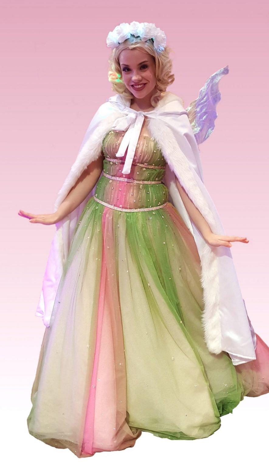 Fairy Party Entertainer Character Hire